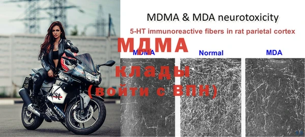 дмт Верея