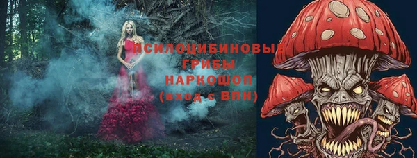 дмт Верея