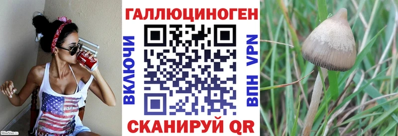 цены наркотик  Карабаш  кракен ONION  Псилоцибиновые грибы мухоморы 